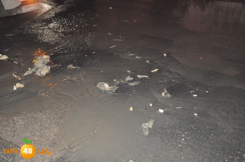 majary wa7a 1204 (12).JPG